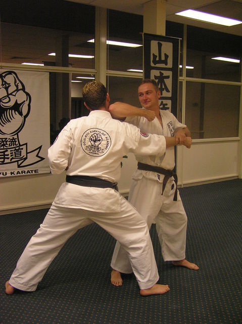 Aleks training 2006
