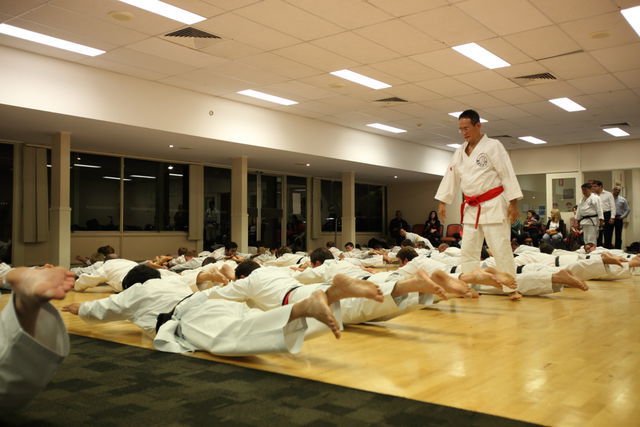 Yamamoto seminar 2013