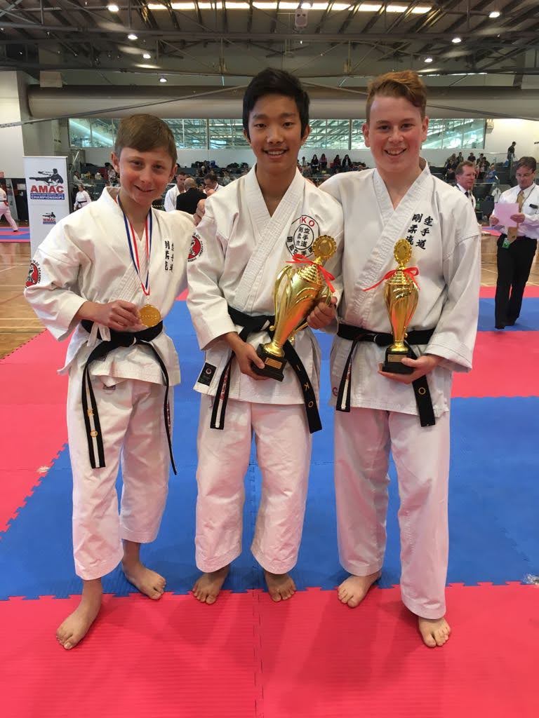 Dojo training session