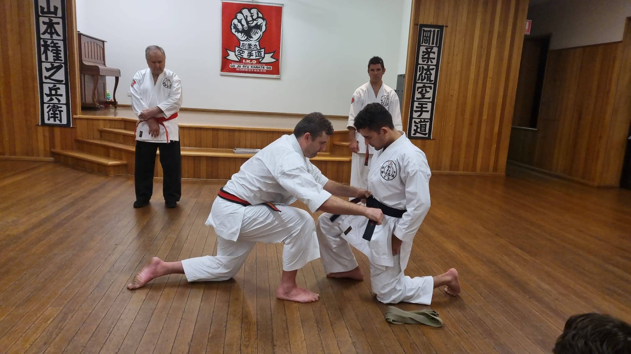Dojo training