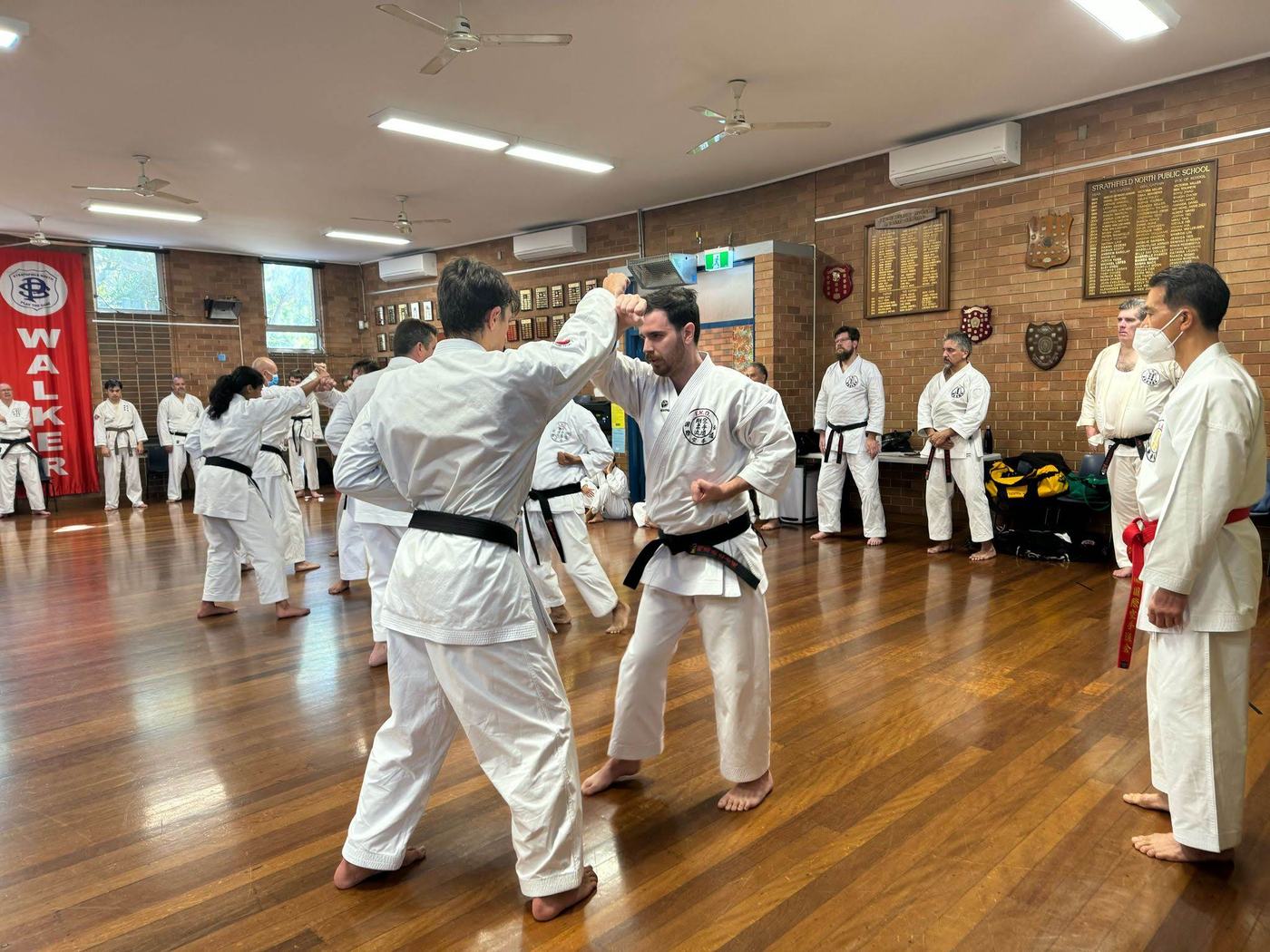 Two adult students working a blocking drill in the Strathfield North hall, honour boards on the brick wall behind