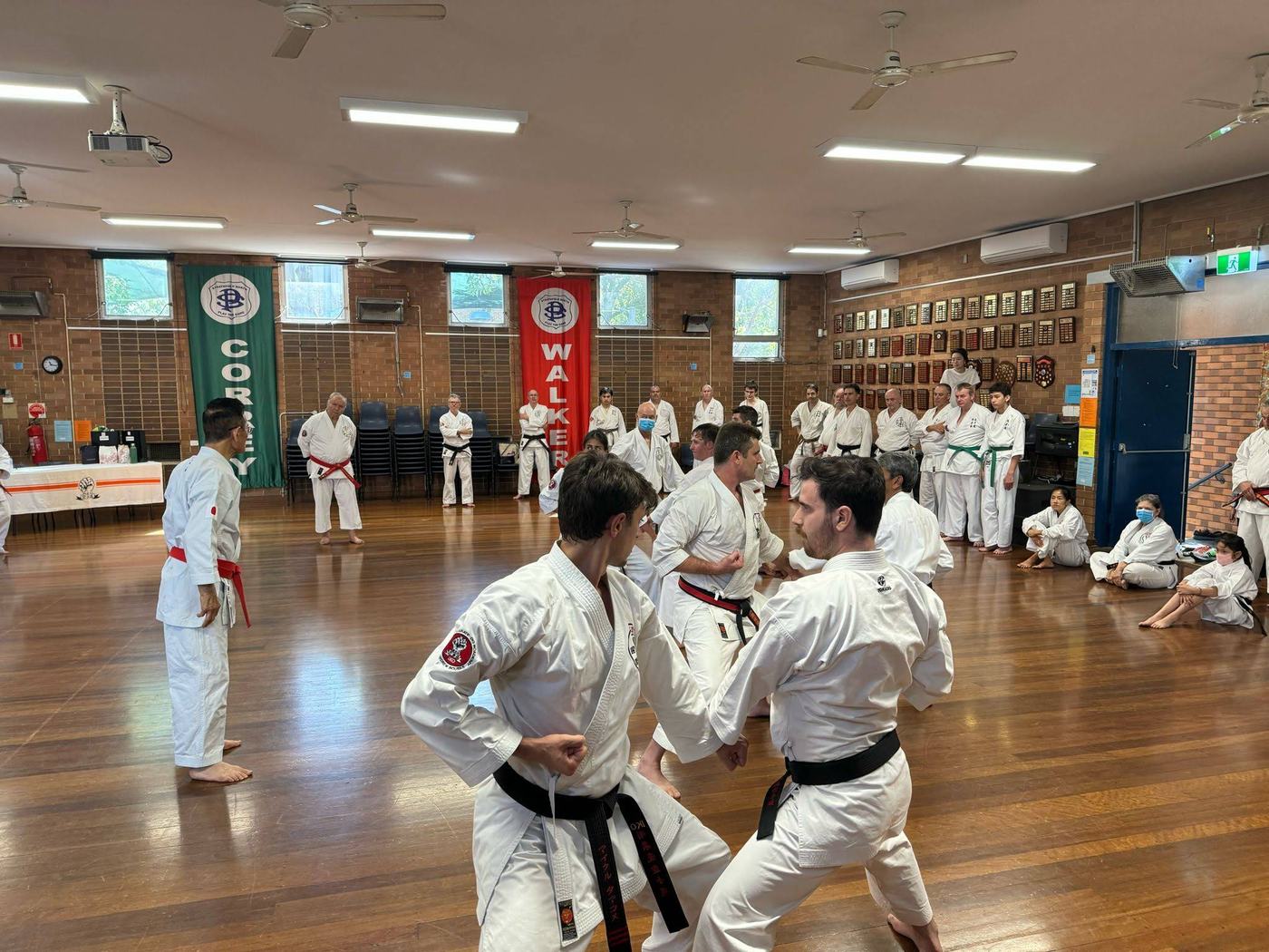 Students training in the Strathfield North hall, black belts working in front while beginners watch from the side